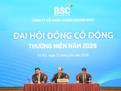 ĐHCĐ Chứng khoán BIDV (BSI): Mục tiêu lợi nhuận 700 tỷ đồng, nâng quy mô vốn lên 11.000 tỷ đồng