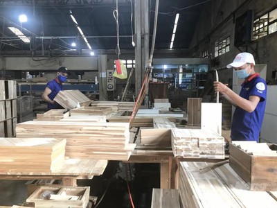 Chế biến Gỗ Thuận An (GTA) chia cổ tức 8,5% bằng tiền mặt