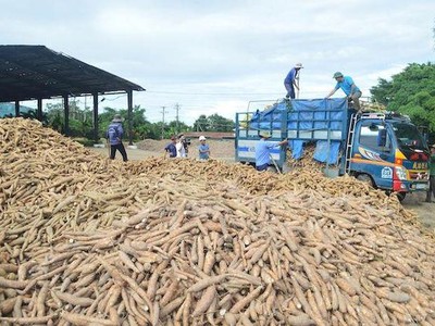 Nông sản thực phẩm Quảng Ngãi (APF) trả cổ tức đợt 2/2020 bằng tiền, tỷ lệ 35%