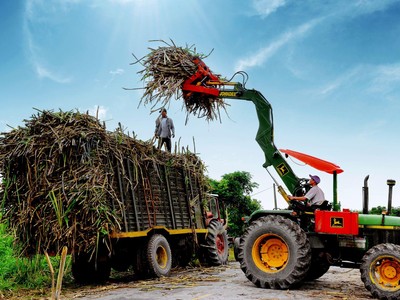 Cổ phiếu mía đường bớt “ngọt”