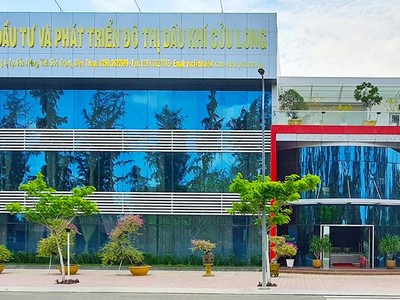 CCL: Ngày GDKHQ nhận cổ tức năm 2023 bằng tiền (5%)