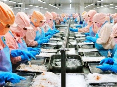 Thủy sản Minh Phú (MPC): Lãi sau thuế 9 tháng đạt 565,6 tỷ đồng, hoàn thành 52% kế hoạch năm