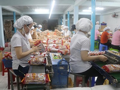 Thiếu 70% nhân lực trong quý IV, Thực phẩm Bích Chi (BCF) báo lãi 16,18 tỷ đồng, giảm 17%