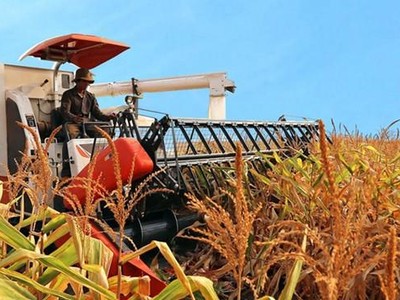 Lỗ luỹ kế 8.466 tỷ đồng, HAGL Agrico (HNG) bị kiểm toán nghi ngờ khả năng hoạt động liên tục