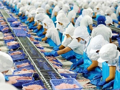 Vĩnh Hoàn (VHC): Doanh thu xuất khẩu sang Mỹ tháng 5 tăng 157%