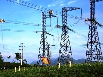 Không còn dự án Sông Hậu 2, Tư vấn Xây dựng Điện 2 (TV2) vẫn báo lãi 2024 tăng 23%