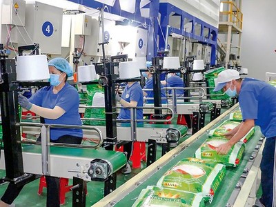 Kinh doanh thua lỗ, Trung An (TAR) quyết định giải thể 2 công ty con 