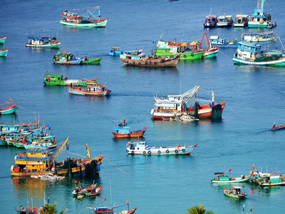 Năm 2023, xuất khẩu thủy sản cần chuẩn bị tâm thế để đương đầu với thách thức