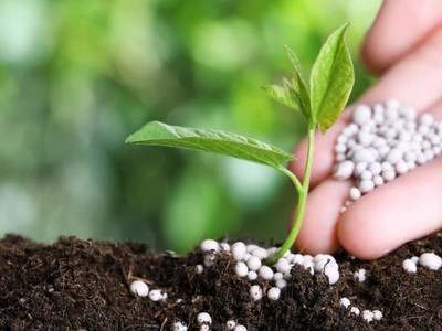 Áp thuế suất GTGT 5%, giá phân bón có dư địa giảm
