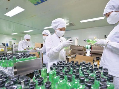 Traphaco (TRA) chi hơn 80 tỷ đồng tạm ứng cổ tức năm 2025 