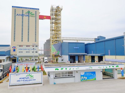 Liên tiếp thoái vốn, Foremost Worldwide Limited không còn là cổ đông lớn tại Nova Consumer (NCG)