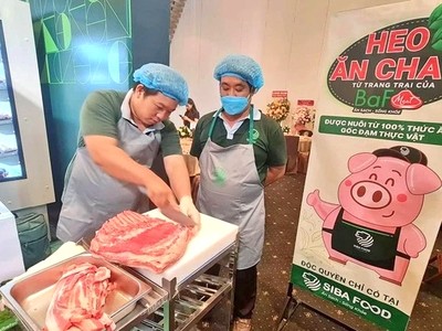 Giá heo chạm đáy, Nông nghiệp BaF Việt Nam (BAF) mang về khoản lãi 119 tỷ đồng trong quý I, gấp 30,5 lần cùng kỳ
