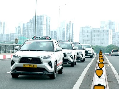 Vinasun (VNS): Lợi nhuận sau nửa đầu năm 2025 sụt giảm 38% 