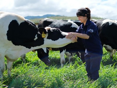 Vilico (VLC) sắp chi hơn 127 tỷ đồng trả cổ tức năm 2023 