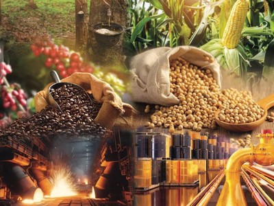 Thị trường hàng hoá phát triển nhanh, nhưng chưa đạt kỳ vọng 