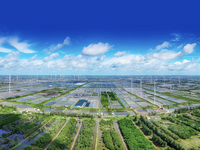 CEO BambuUP: Quỹ đầu tư quốc tế đang dần "để mắt" đến startup bền vững tại Việt Nam