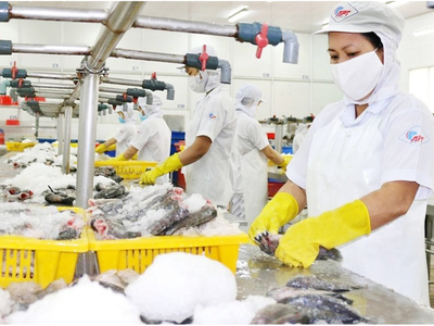 Thuỷ hải sản Sài Gòn (APT) gánh món nợ vàng 15 năm và bài toán chưa lời giải