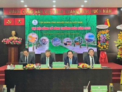 ĐHĐCĐ Tập đoàn Cao su (GVR): 6 tháng ước lãi trước thuế 2.500 tỷ đồng, muốn mở rộng thêm 70.000 ha cao su sang Lào và Campuchia 