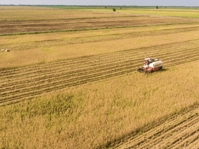 Trung An (TAR) kỳ vọng thoát diện bị hạn chế giao dịch, Tổng giám đốc đăng ký mua 1,2 triệu cổ phiếu