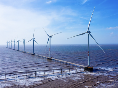 Điện gió Bắc Phương giảm 24% lãi 6 tháng 2025, dư nợ trái phiếu còn 534 tỷ đồng