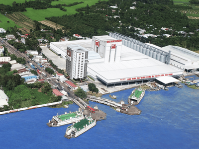 Tập đoàn Sao Mai (ASM) sắp phát hành 37 triệu cổ phiếu trả cổ tức, tỷ lệ 10%