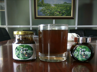 Vexilla Việt Nam (SVN) muốn tiếp tục thoái vốn tại công ty con Thương mại M&S 