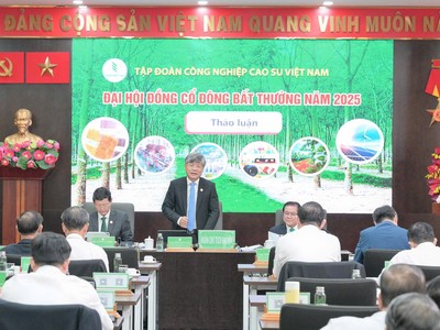 ĐHCĐ bất thường Tập đoàn Cao su Việt Nam (GVR): Chuẩn bị đầu tư 2.604 ha khu công nghiệp từ đất cao su chuyển đổi
