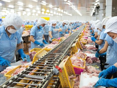 Chủ tịch HĐQT Nam Việt (ANV) muốn thoái toàn bộ vốn