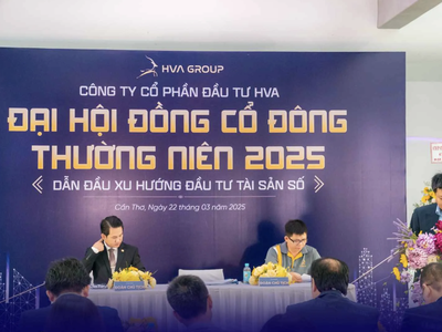 ĐHĐCĐ năm 2025 dưới sự chủ trì của Chủ tịch Eric Vương (Ảnh: HVA)