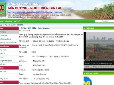 SEC: Điện Gia Lai rao bán hết hơn 5 triệu cổ phiếu