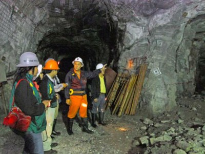 Bồng Miêu và Phước Sơn vẫn được xuất khẩu vàng