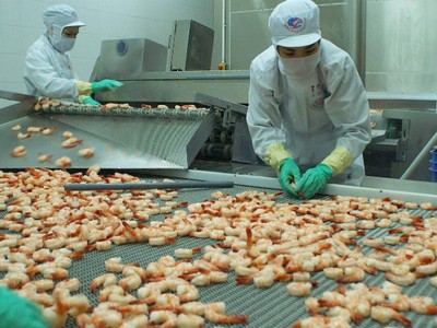 Mua lại hơn 16 triệu cổ phiếu, MPC rậm rịch rời sàn