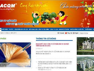 SAM sẽ tạm ứng 6% cổ tức 2013 bằng tiền trong tháng 4