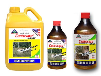 SCIC muốn rút hết 42% vốn tại TSC