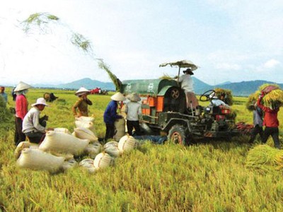 Tìm kế sách vực vốn FDI vào nông nghiệp