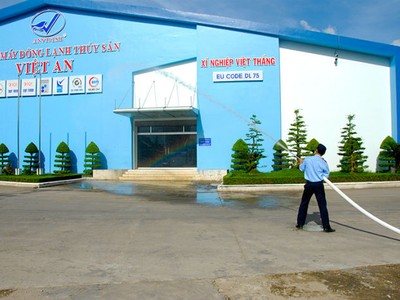 AVF có lập kỷ lục lỗ “khủng” trong năm 2014?