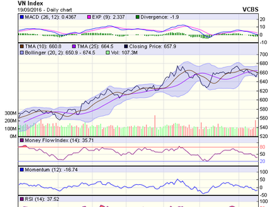 Biểu đồ kỹ thuật VN-Index. Nguồn: VCBS 