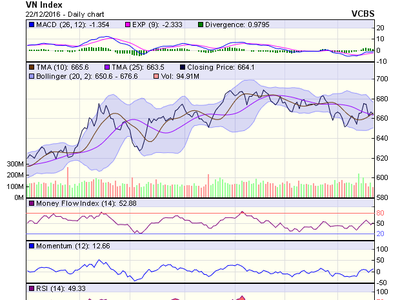 Biểu đồ kỹ thuật VN-Index. Nguồn: VCBS