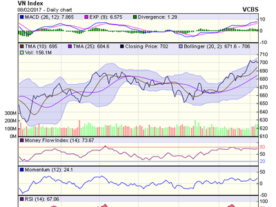 Biểu đồ kỹ thuật VN-Index. Nguồn: VCBS