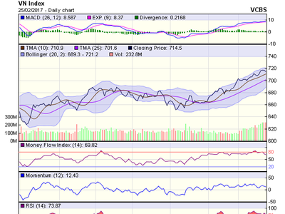 Biểu đồ kỹ thuật VN-Index. Nguồn: VCBS