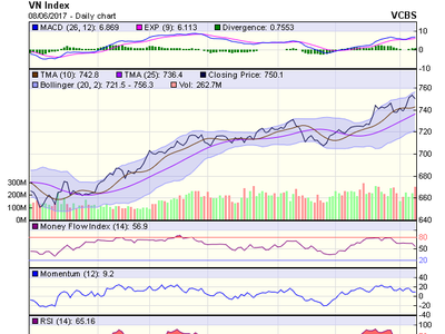 Biểu đồ kỹ thuật VN-Index. Nguồn: VCBS 