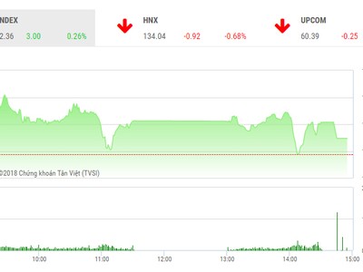 Phiên chiều 22/3: Lên đỉnh cao mọi thời đại, VN-Index gặp rung lắc mạnh