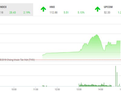Phiên chiều 29/5: Sắc tím ngập tràn, VN-Index tăng hơn 20 điểm