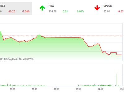 Phiên 6/9: Ồ ạt bán ra, VN-Index tiếp tục giảm sâu