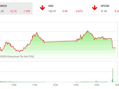 Phiên chiều 13/11: Nhà đầu tư thờ ơ, thị trường giảm mạnh