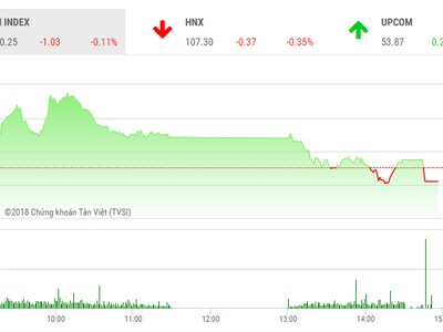 Phiên chiều 13/12: Bluechips yếu đà, thị trường quay đầu giảm điểm