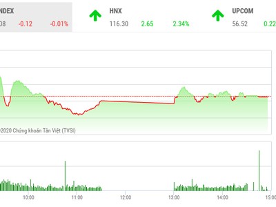 Giao dịch chứng khoán chiều 11/8: HNX bay cao, VN-Index ngắt chuỗi 6 phiên tăng liên tiếp
