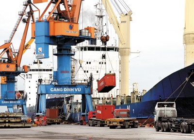 DVP: Năm 2015 dự kiến trả cổ tức tỷ lệ 70%