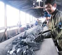 Cổ phiếu ngành than đã thu hút được sự quan tâm của nhiều nhà đầu tư trong và ngoài nước.