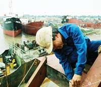 Tập đoàn Công nghiệp tàu thủy Việt Nam trong năm 2007 đã tăng tới 43 công ty con và 111 công ty liên kết